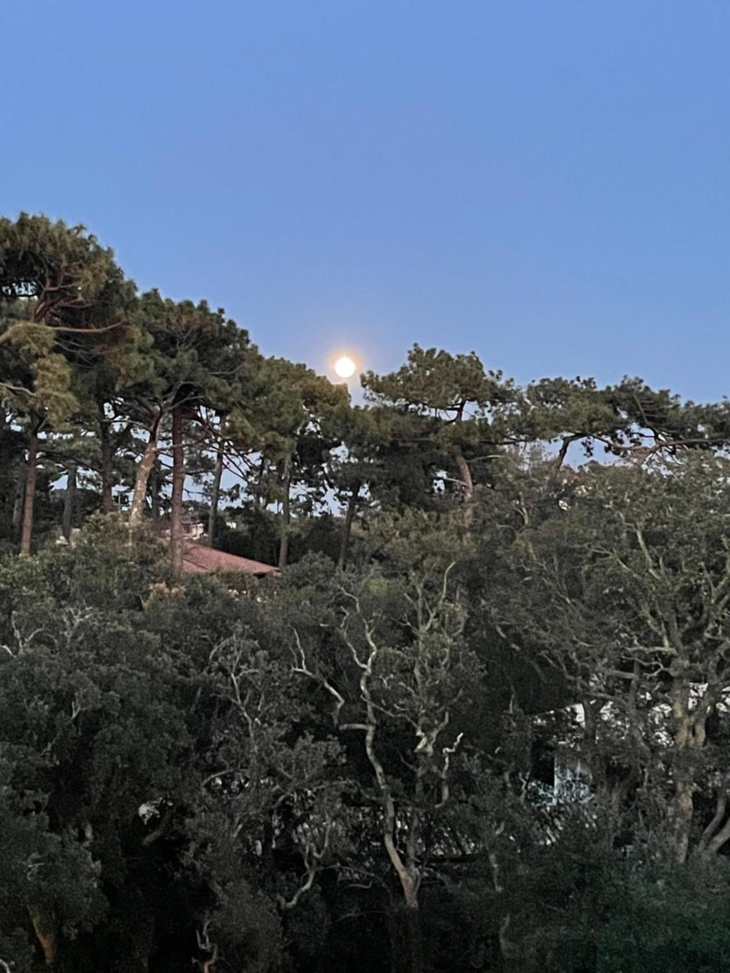 דירות סורטס הוסגור Tao מראה חיצוני תמונה